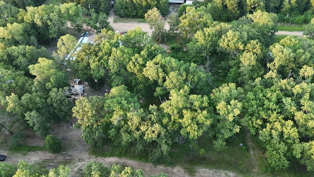 O Panther Ln, Livingston, TX 77351