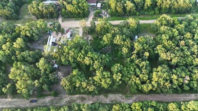 O Panther Ln, Livingston, TX 77351