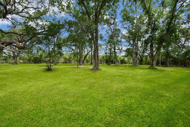 2918 La Rama, Richmond, TX 77469 - photo 41