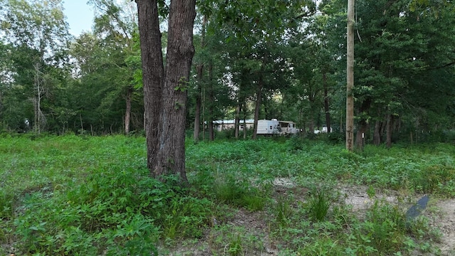 211 Panther Ln, Livingston, TX 77351