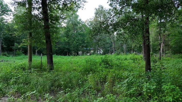 211 Panther Ln, Livingston, TX 77351