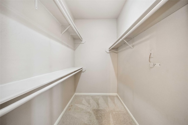 2255 Braeswood Park Dr Unit 105, Houston, TX 77030 - spacious closet with carpet floors