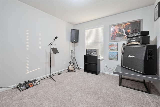 3415 Sicily Island Ln, Katy, TX 77494 - workout room with carpet floors and baseboards