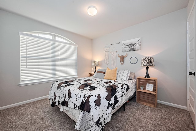 3415 Sicily Island Ln, Katy, TX 77494 - bedroom featuring carpet floors and baseboards