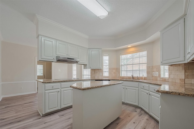 5210 Holly View Dr, Houston, TX 77091 - kitchen featuring a sink, under cabinet range hood, a textured ceiling, light wood-style flooring, and white cabinetry