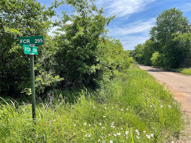 TRACT10 Fcr 295, Oakwood, TX 75855