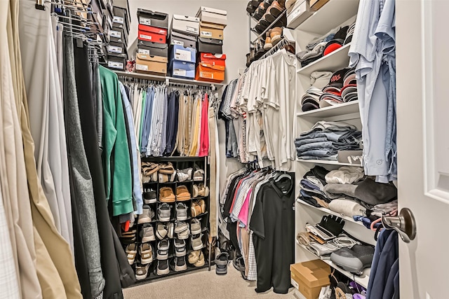 1939 Heather Canyon Dr, Pearland, TX 77089 - spacious closet featuring carpet floors