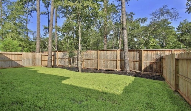 707 Lacebark Elm Trl, Willis, TX 77318 - photo 17
