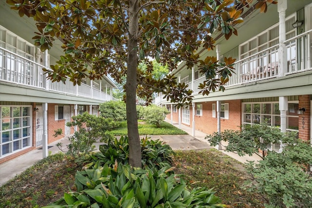 5542 Holly St Unit 205, Houston, TX 77081 - view of yard