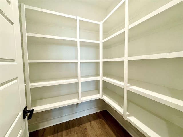 197 Sandpiper Dr, New Waverly, TX 77358 - view of pantry