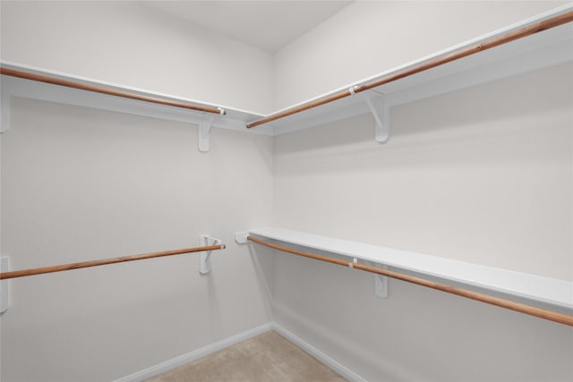 13406 Georgia Hollow Ct, Rosharon, TX 77583 - walk in closet with light carpet