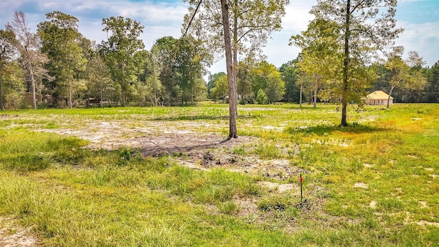 TBDLot66 Thousand Oaks, Livingston, TX 77351