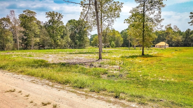 TBDLot66 Thousand Oaks, Livingston, TX 77351