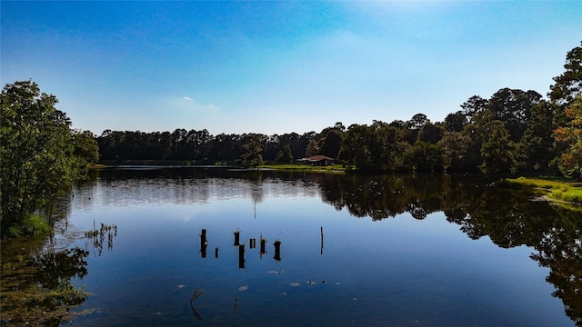 TBDLot66 Thousand Oaks, Livingston, TX 77351