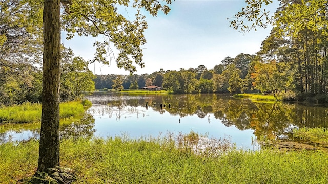 TBD13 Summer Pl, Livingston, TX 77351