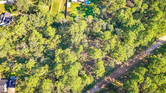 TBD13 Summer Pl, Livingston, TX 77351