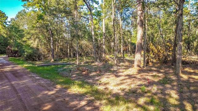 TBD13 Summer Pl, Livingston, TX 77351