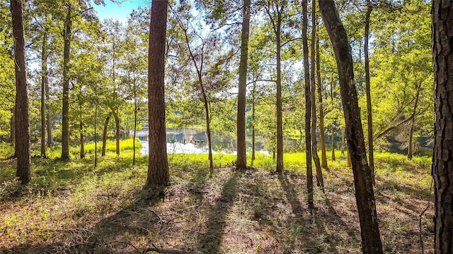TBD13 Summer Pl, Livingston, TX 77351