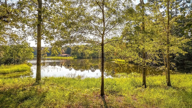 TBDLOT35 Broken Br, Livingston, TX 77351
