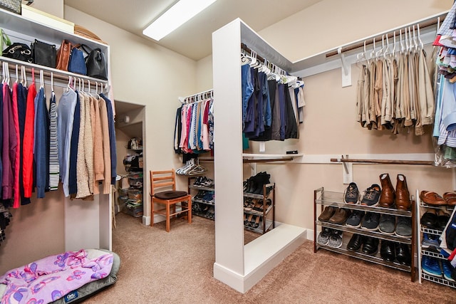 28030 Sugarside Glen Dr, Katy, TX 77494 - spacious closet featuring carpet
