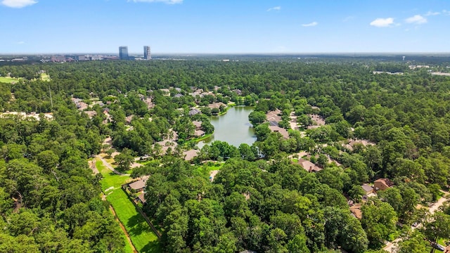 44 Vinebrook Rd, The Woodlands, TX 77380 - aerial view of a heavily wooded area and a large body of water
