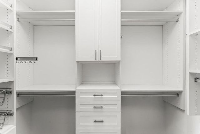 44 Vinebrook Rd, The Woodlands, TX 77380 - view of spacious closet
