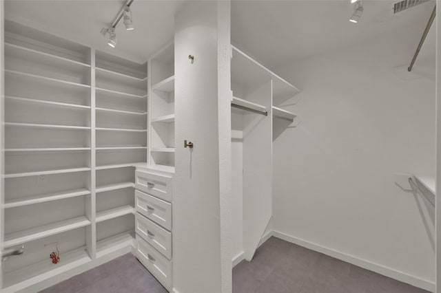 77 Chelsea Blvd, Houston, TX 77006 - view of spacious closet