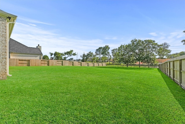 4215 Wooded Isle Way, Fulshear, TX 77441 - view of yard