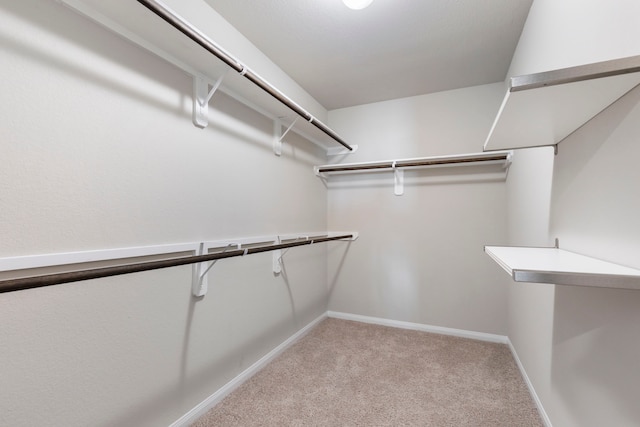 4438 Stephanie Park Ln, Conroe, TX 77304 - spacious closet with light colored carpet