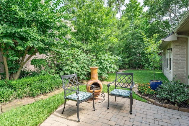 19 Silkbay Pl, The Woodlands, TX 77382 - photo 41