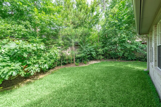 19 Silkbay Pl, The Woodlands, TX 77382 - photo 42