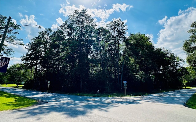 2527 Roman Forest Blvd, Roman Forest, TX 77357