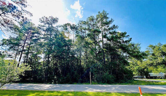 2527 Roman Forest Blvd, Roman Forest, TX 77357