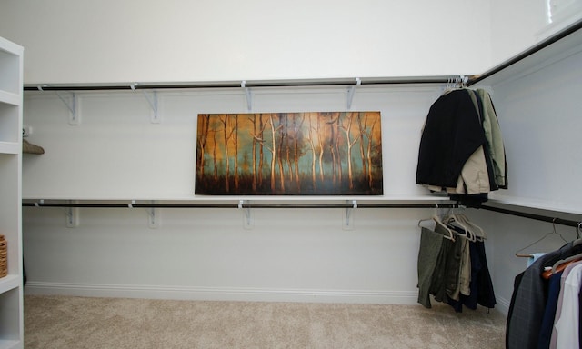 8823 Leaning Hollow Ln, Spring, TX 77379 - spacious closet featuring carpet floors