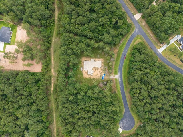 29480 Shetland Dr, Waller, TX 77484 - photo 15