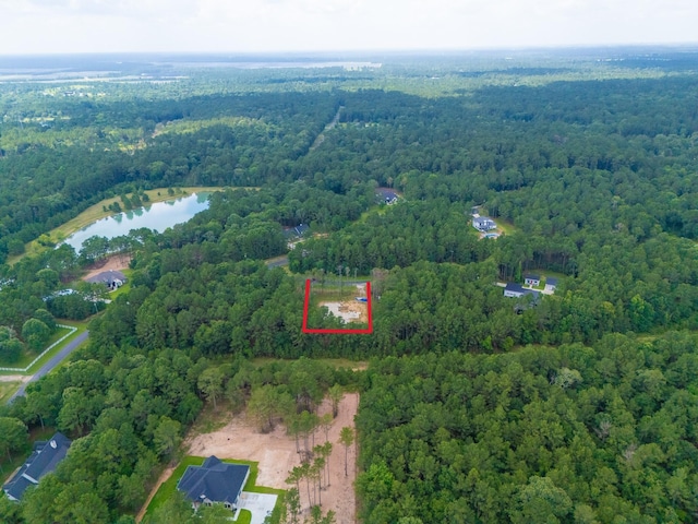 29480 Shetland Dr, Waller, TX 77484 - photo 25