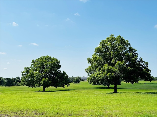 216 Winn Hvn, Round Top, TX 78954