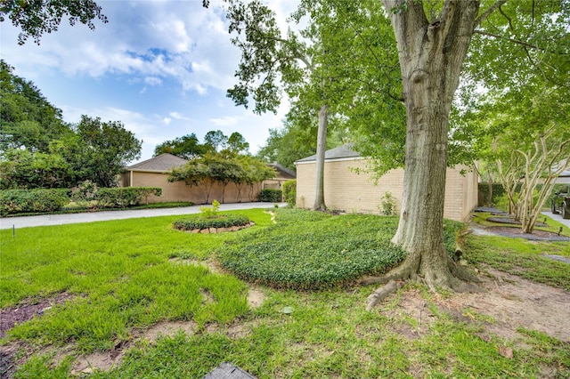 310 E Fair Harbor Ln, Houston, TX 77079 - photo 50