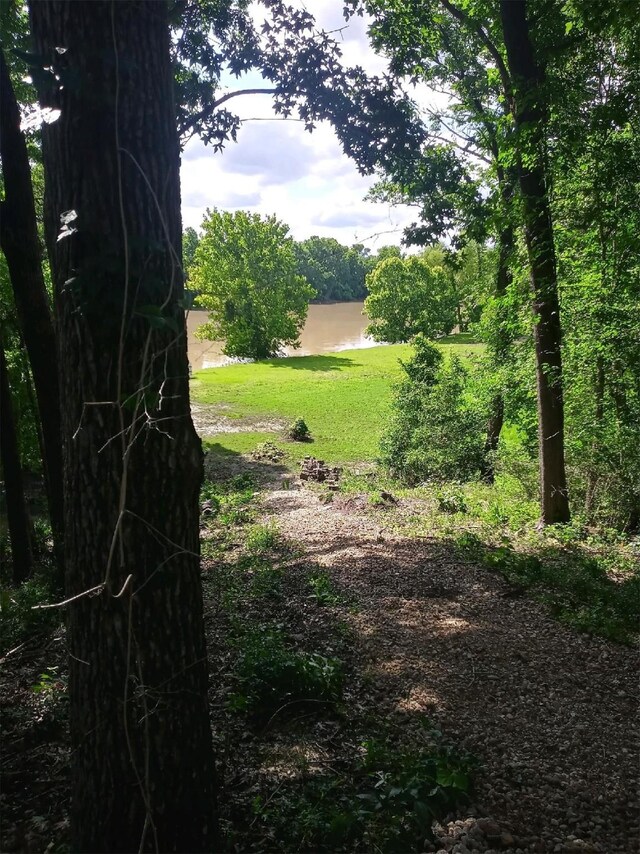 12 Walker Trl, Huntsville, TX 77320 - view of yard with a water view