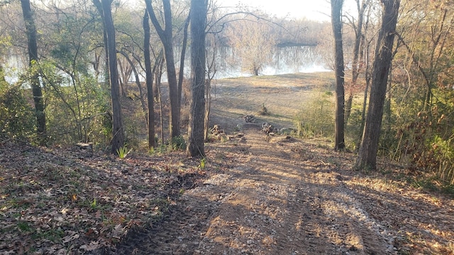 12 Walker Trl, Huntsville, TX 77320 - view of road