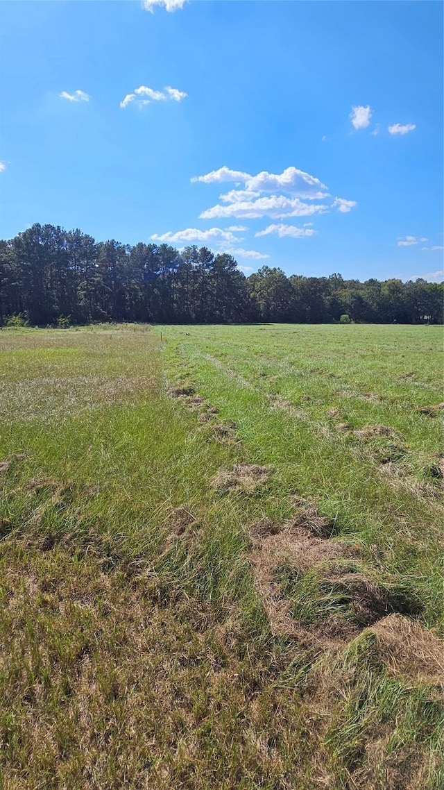 TBD Hawthorne Rd N, New Waverly, TX 77358 - photo 1