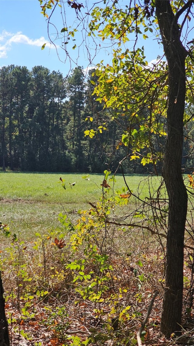 TBD Hawthorne Rd N, New Waverly, TX 77358 - photo 2