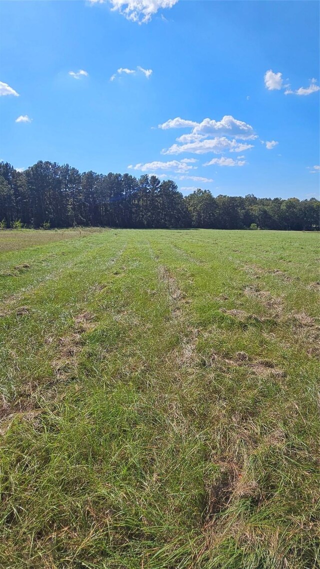 TBD Hawthorne Rd N, New Waverly, TX 77358 - photo 4