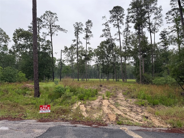 524 Echo Ln, Houston, TX 77336