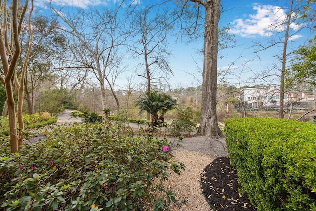 8 Woodstone St, Houston, TX 77024 - view of yard