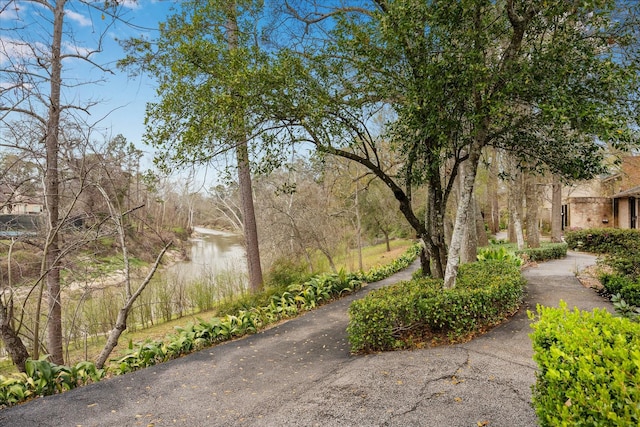 8 Woodstone St, Houston, TX 77024 - view of surrounding community