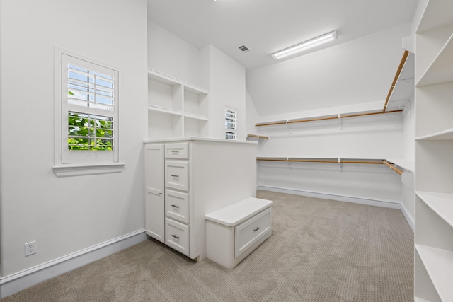 504 High Meadow Ranch Dr, Magnolia, TX 77355 - spacious closet with light carpet