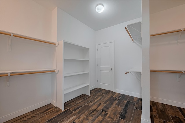 430 Seaside Sparrow Way, Richmond, TX 77469 - spacious closet featuring wood finished floors