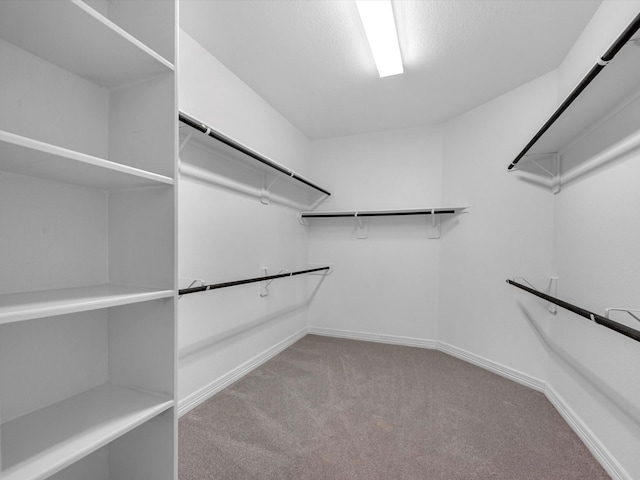 2107 Jitterbug Ln, Katy, TX 77493 - walk in closet featuring carpet