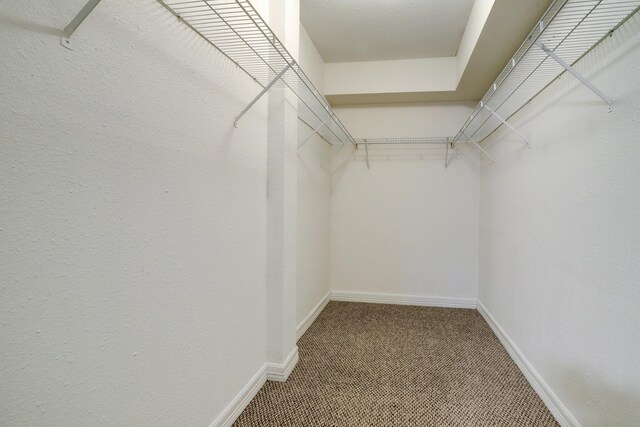 4515 Briar Hollow Pl Unit 213, Houston, TX 77027 - spacious closet featuring carpet floors